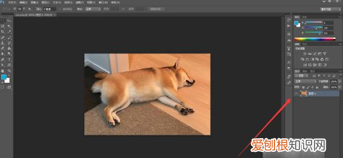 ps怎么合并图层,可以如何用PS合并图层