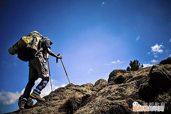 锲而不舍目不窥园沥尽心血的拼音和意思 锲而不舍的锲是什么意思