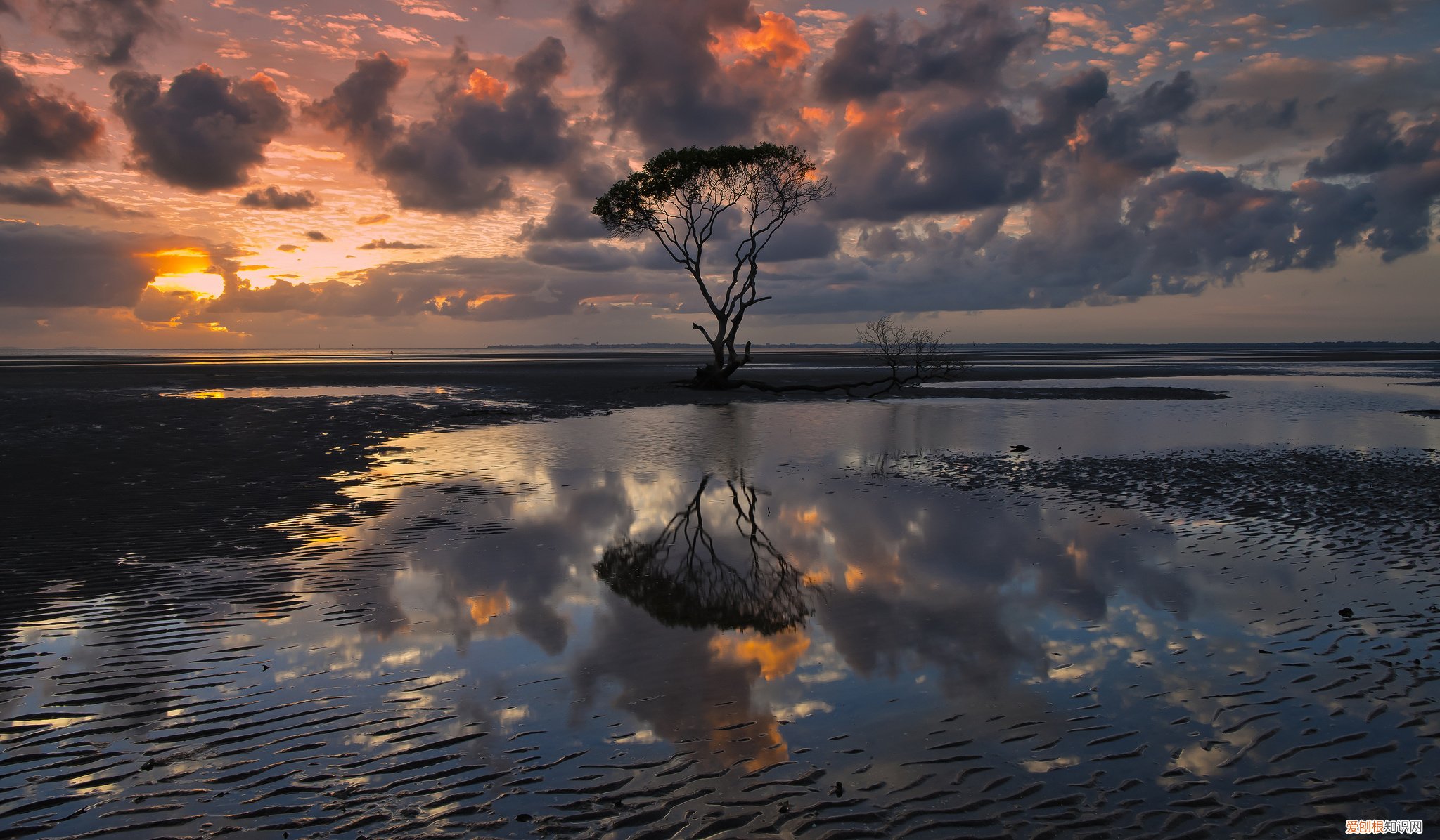 西安到秦皇岛的高铁到唐山可以下车吗 g1294高铁时刻表路径
