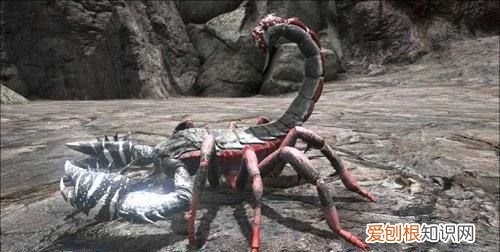 方舟生存进化巨蝎如何驯服,方舟巨蝎蛋饲料怎么做不出来