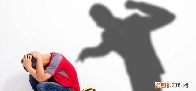 药家鑫什么时候被行刑的 21岁药家鑫被判死刑始末