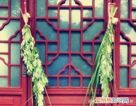 端午节家家户户挂艾草、菖、蒜头,是什么意思 挂菖蒲艾叶的寓意