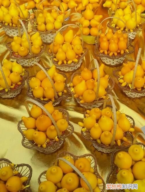 五代同堂果树好，五代同堂果可以吃吗