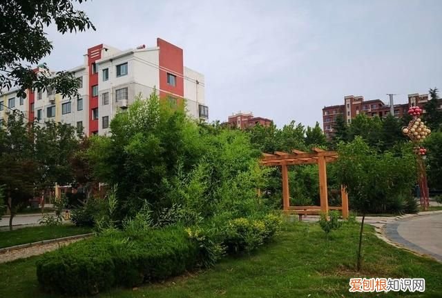 夜半轻舟过险滩诗词,野云低渡水诗词名句