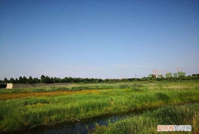 夜半轻舟过险滩诗词,野云低渡水诗词名句