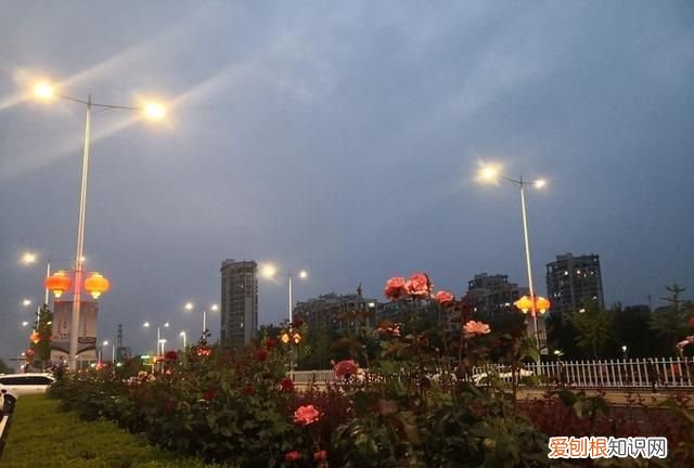 夜半轻舟过险滩诗词,野云低渡水诗词名句