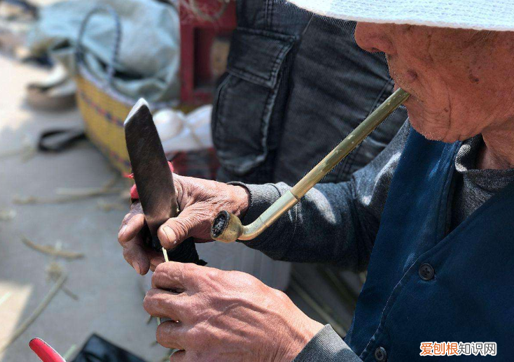 大家好，想請教一个問題??賒刀人是什麽人 赊刀人到底是什么人