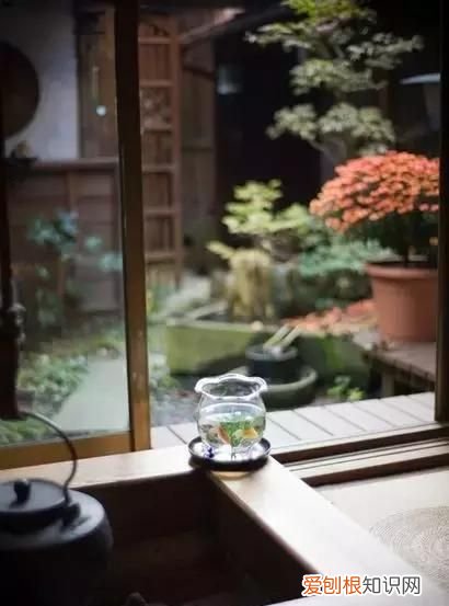 赌书泼茶,倚楼听雨什么意思,赌书泼茶倚楼听雨心灵鸡汤句子