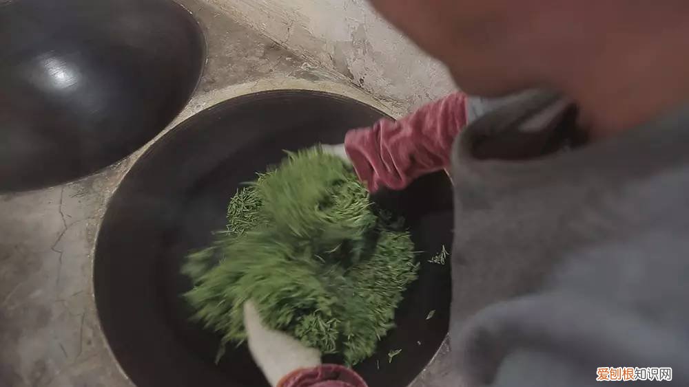 为什么说只有苏州洞庭碧螺春才是最正宗的碧螺春 碧螺春产于哪里