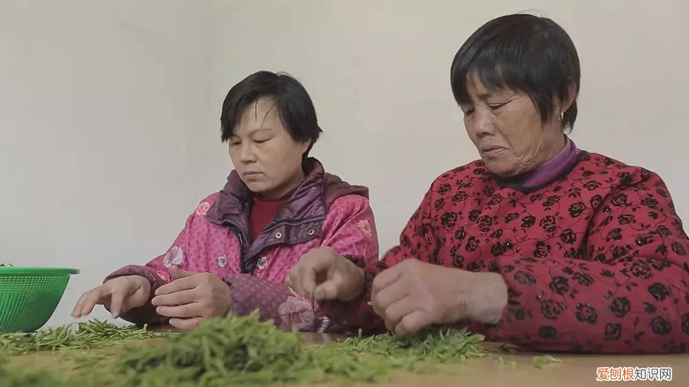 为什么说只有苏州洞庭碧螺春才是最正宗的碧螺春 碧螺春产于哪里