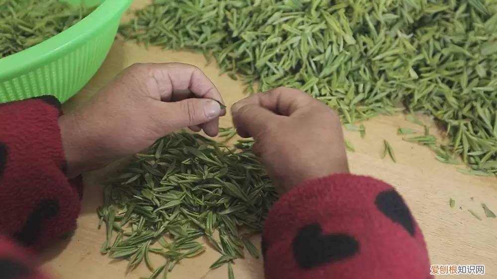 为什么说只有苏州洞庭碧螺春才是最正宗的碧螺春 碧螺春产于哪里