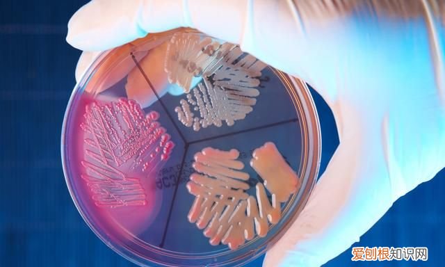 人的脚为什么会臭 出现脚臭的原因