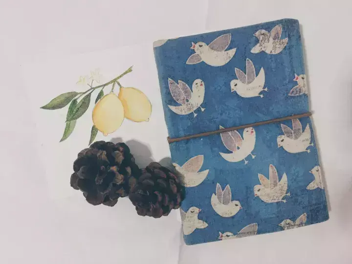 自己做手帐本子 手帐本怎么做