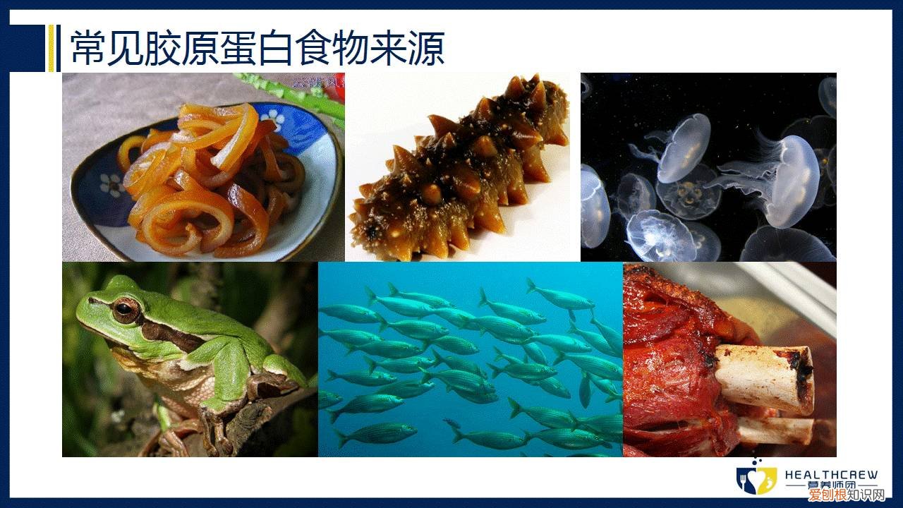 胶原蛋白肽的作用与功效,胶原蛋白肽有奇效?