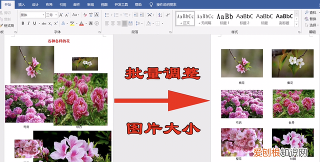 word中所有图片如何批量调整大小