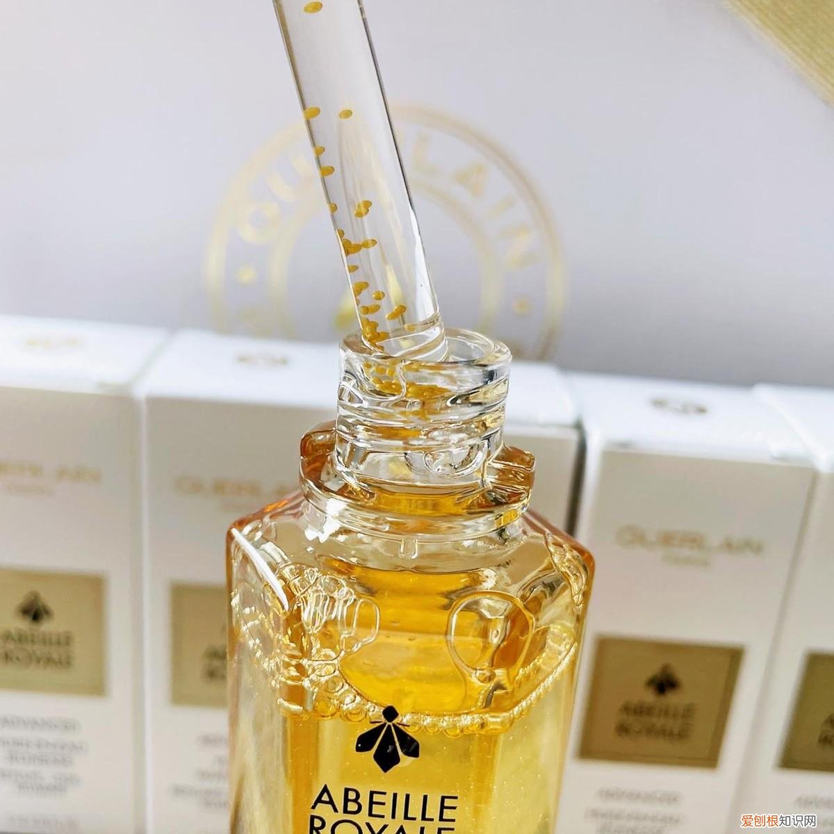 娇兰精华液和娇兰复原蜜有什么区别 娇兰复原蜜和精华区别