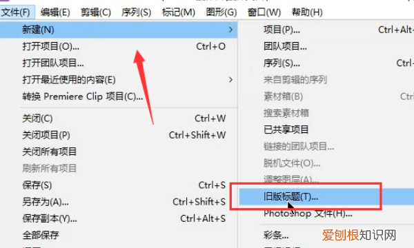 208pr怎么加字幕,如何制作竖排字幕