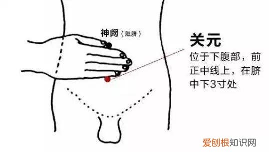 头上白发越长越多的原因是什么?