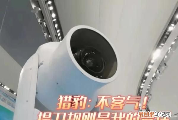 “猎豹”是什么？为什么大家都在谢谢它？｜冬奥问小伟