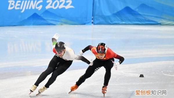 “猎豹”是什么？为什么大家都在谢谢它？｜冬奥问小伟