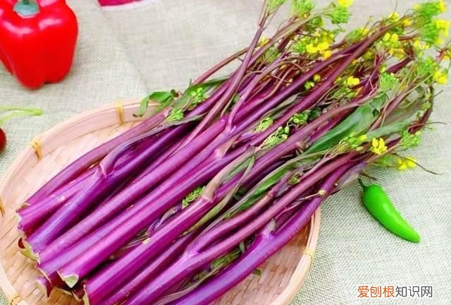 红菜苔与什么相克 与红菜苔相克的食物有哪些