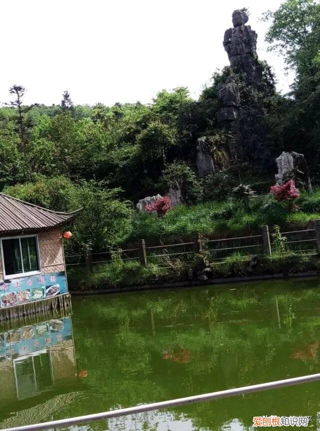 华蓥山在渝北还是广安 华蓥在哪里