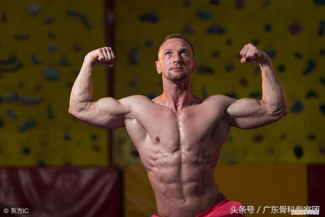 腰椎不好可以用健腹轮吗 健腹轮需要带护腰吗