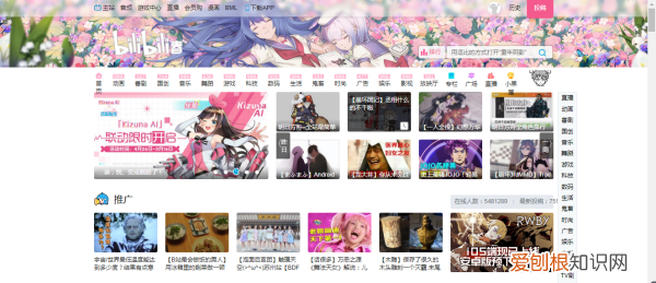 怎么在电视上看b站弹幕，为什么现在b站tv版投屏没有弹幕了