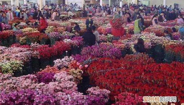 花店花卉网络营销怎么做，新手适合开花店还是工作室