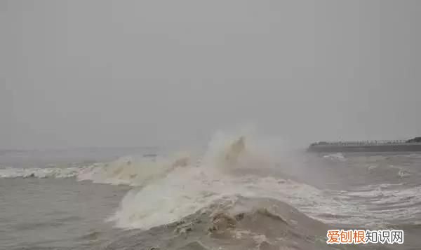 八月十八钱塘江观潮最佳时间几点