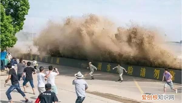 八月十八钱塘江观潮最佳时间几点