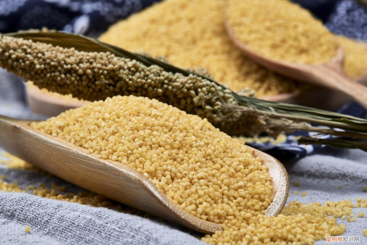 黄小米汤圆制作方法