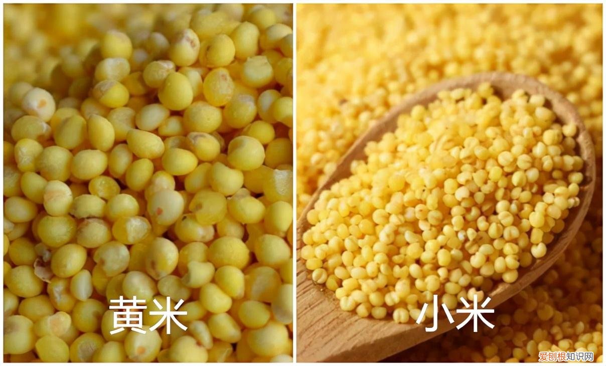 黄小米汤圆制作方法