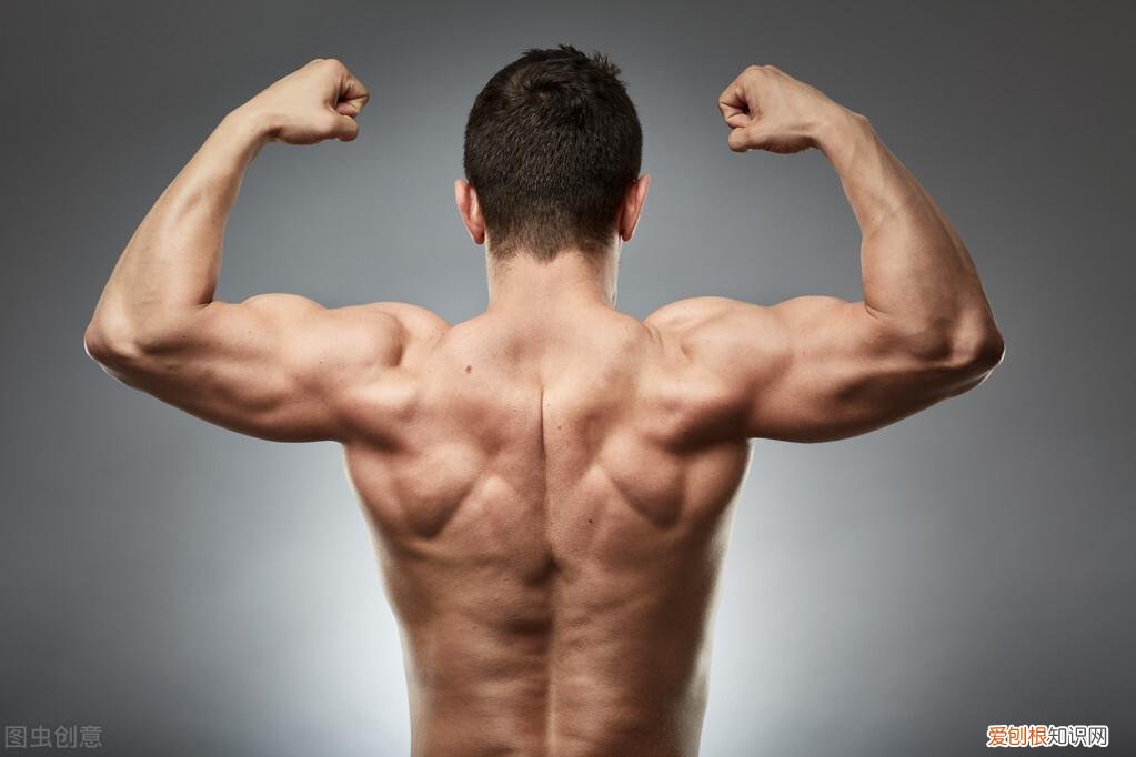 肩部锻炼方法和注意事项 肩部锻炼方法