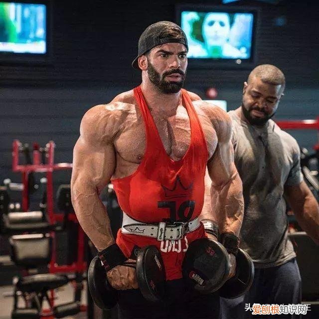 肩部锻炼黄金动作有哪些 肩部锻炼黄金动作