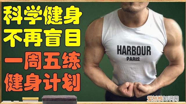 肩部锻炼黄金动作有哪些 肩部锻炼黄金动作