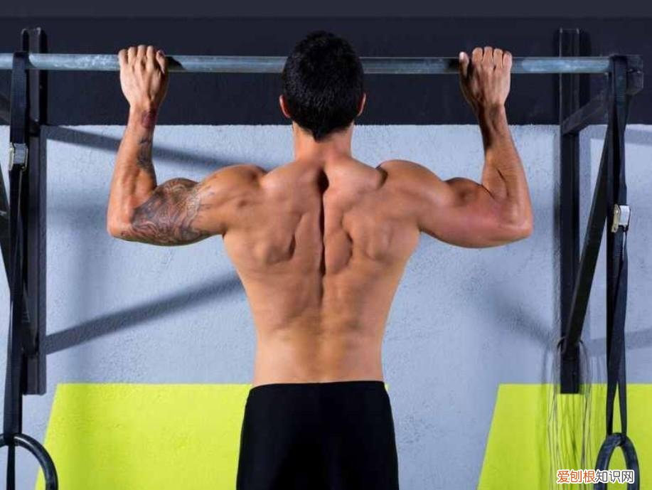 肩部锻炼动作空手 肩部锻炼动作