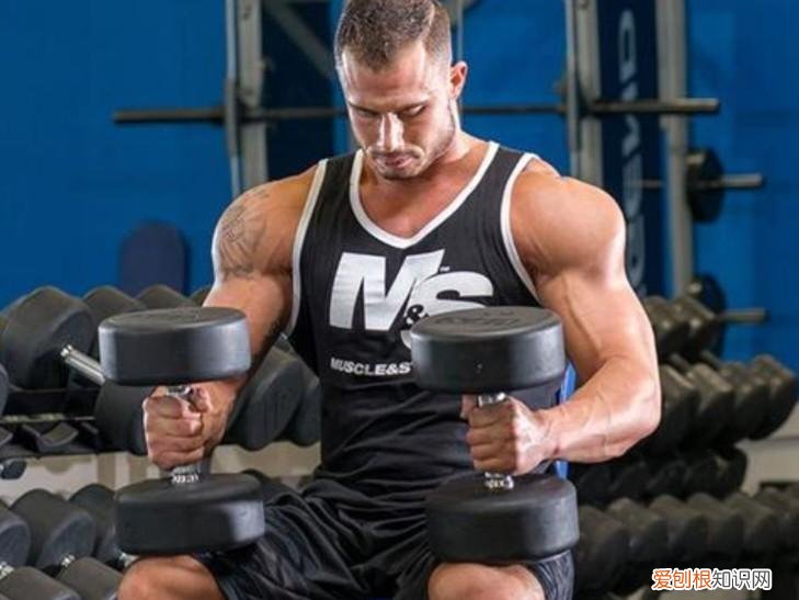 肩部锻炼动作空手 肩部锻炼动作