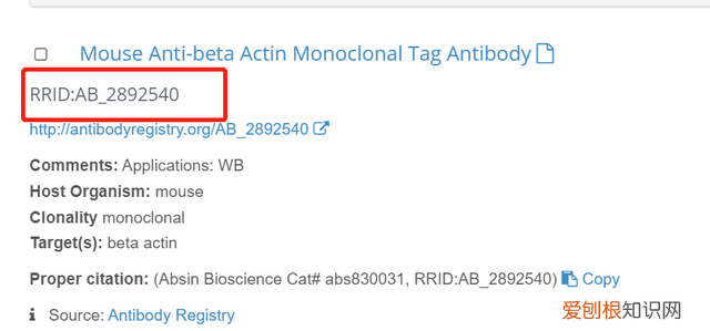 rrid是什么 RRID是什么意思