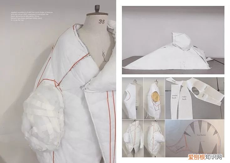 2022年的新小科值得期待吗 小科模特图片