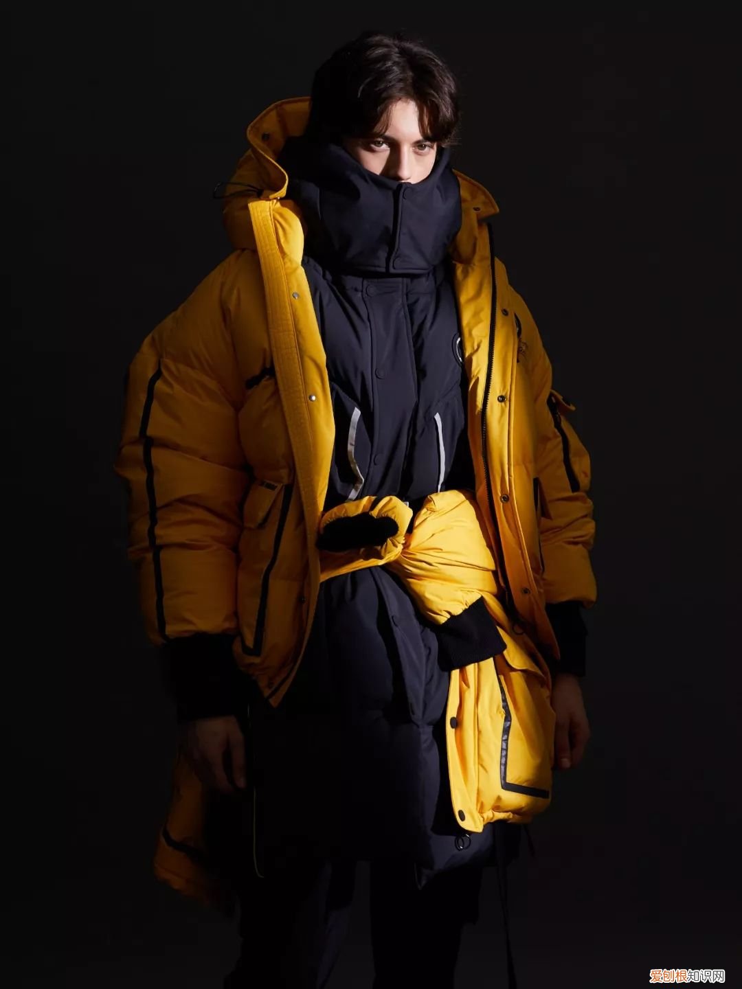 2022年的新小科值得期待吗 小科模特图片