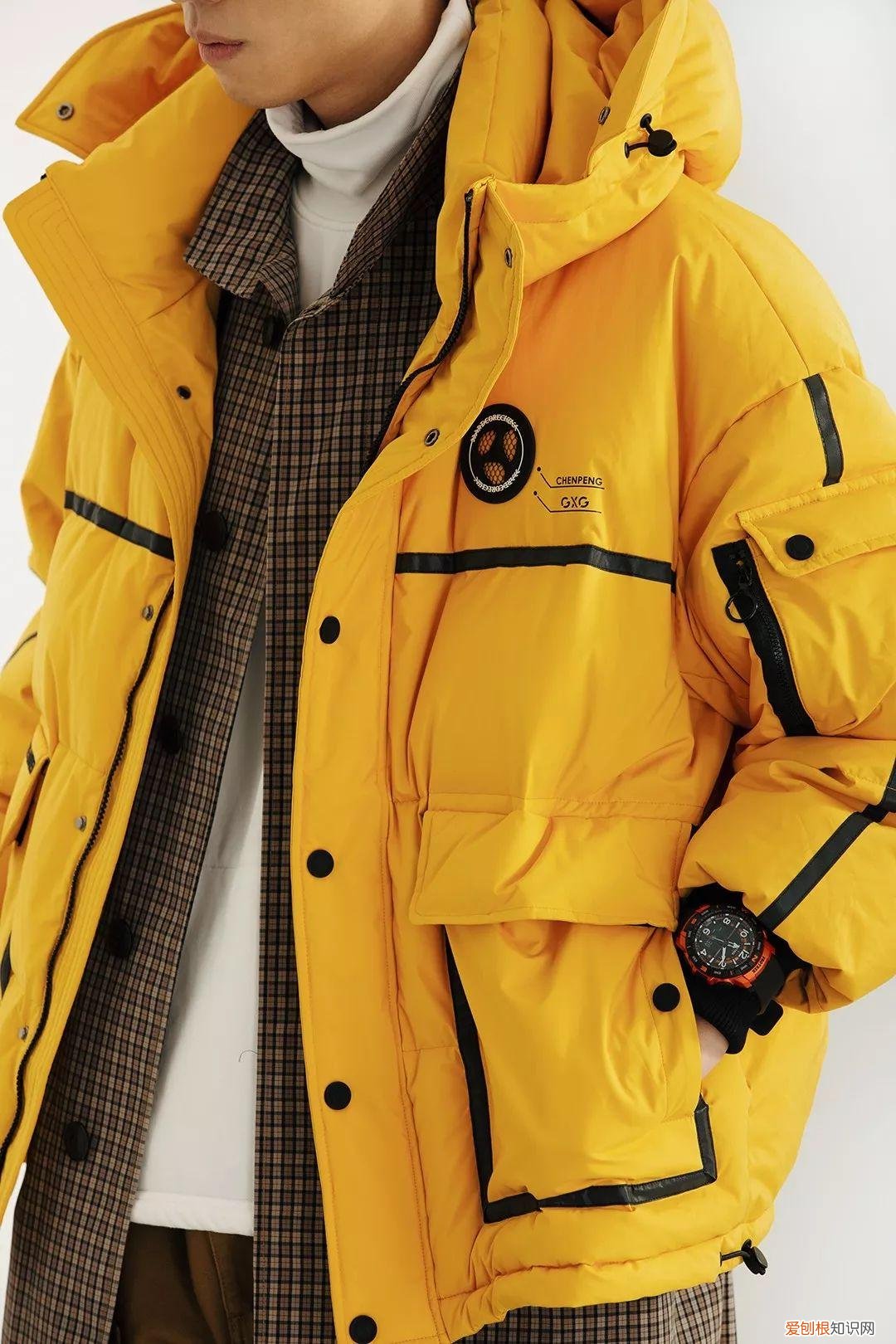 2022年的新小科值得期待吗 小科模特图片