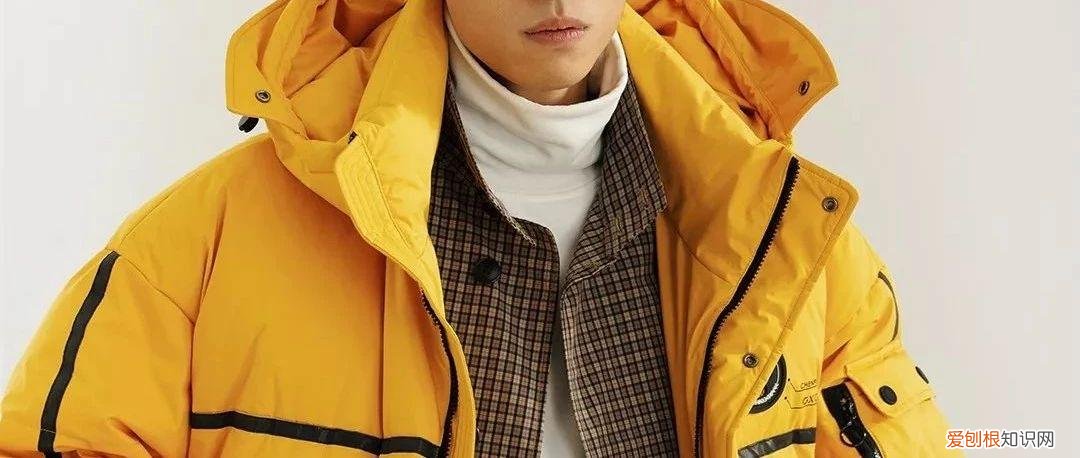 2022年的新小科值得期待吗 小科模特图片