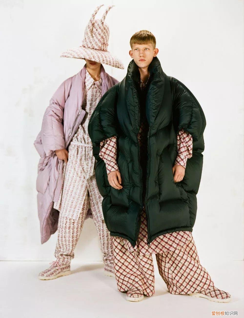 2022年的新小科值得期待吗 小科模特图片