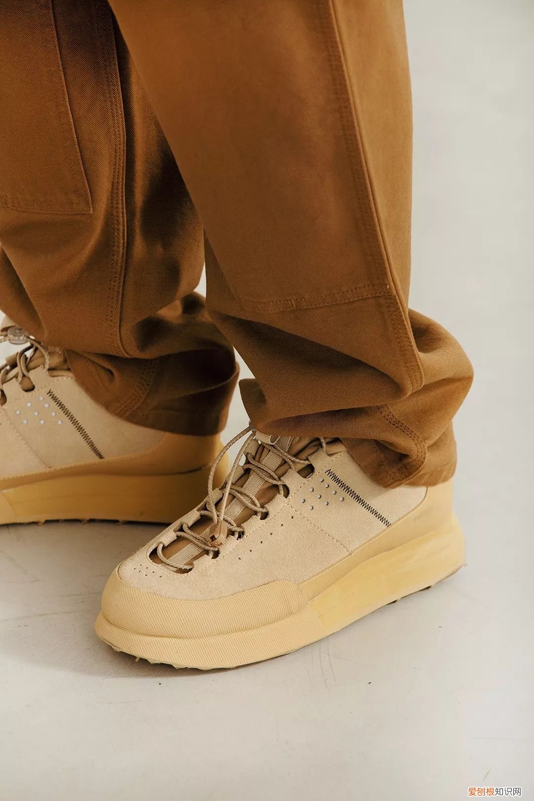 2022年的新小科值得期待吗 小科模特图片