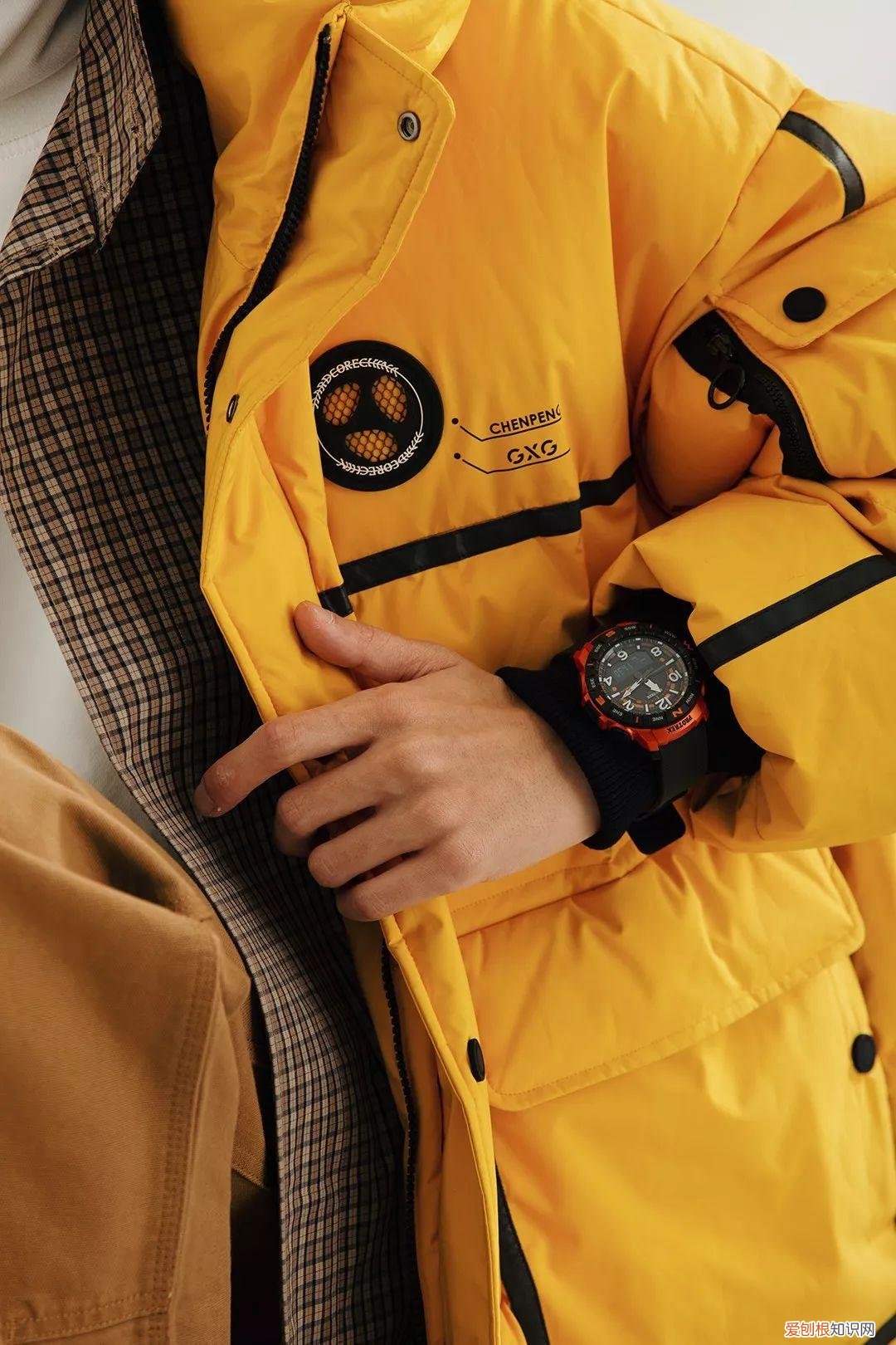 2022年的新小科值得期待吗 小科模特图片