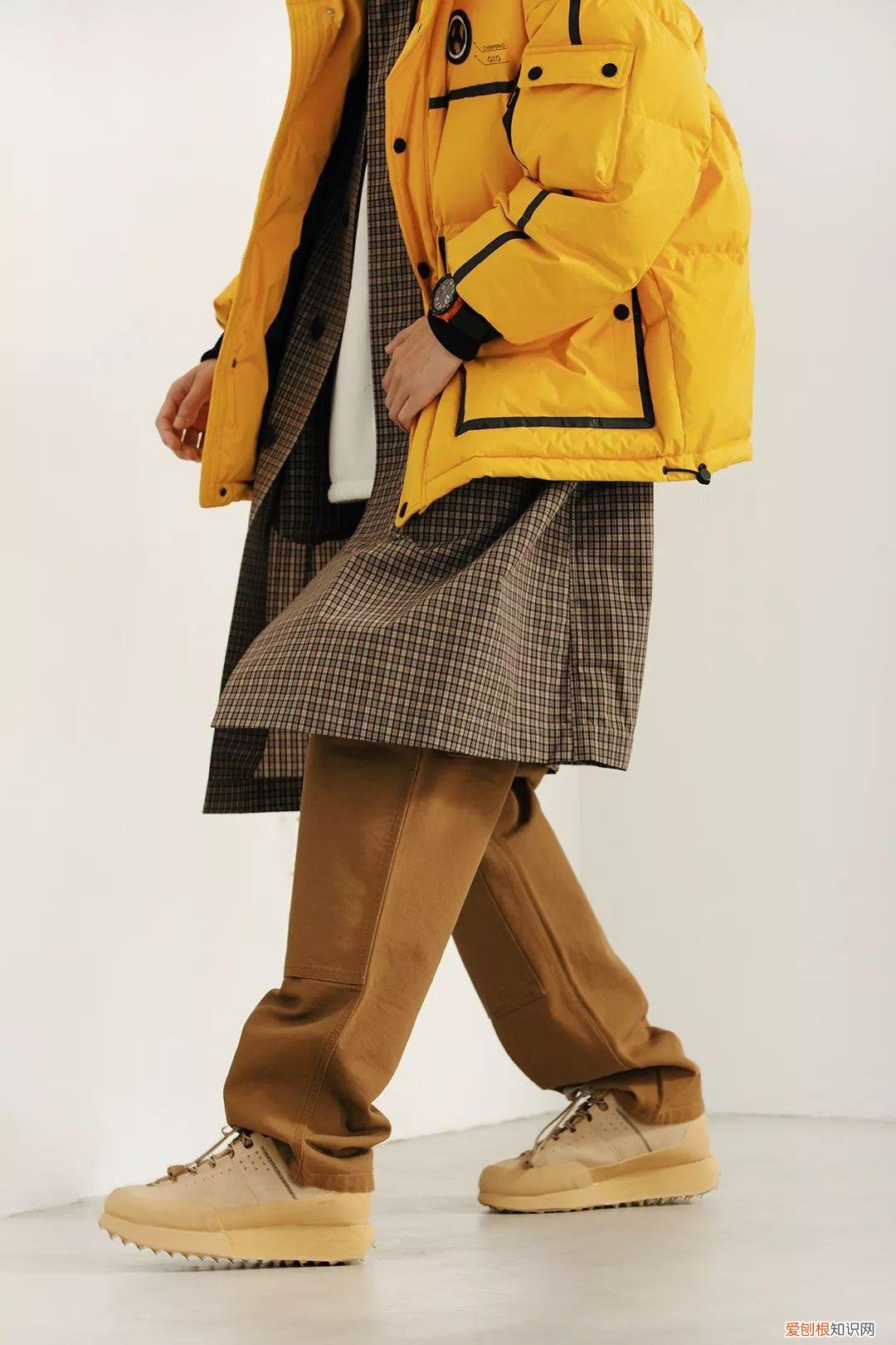 2022年的新小科值得期待吗 小科模特图片