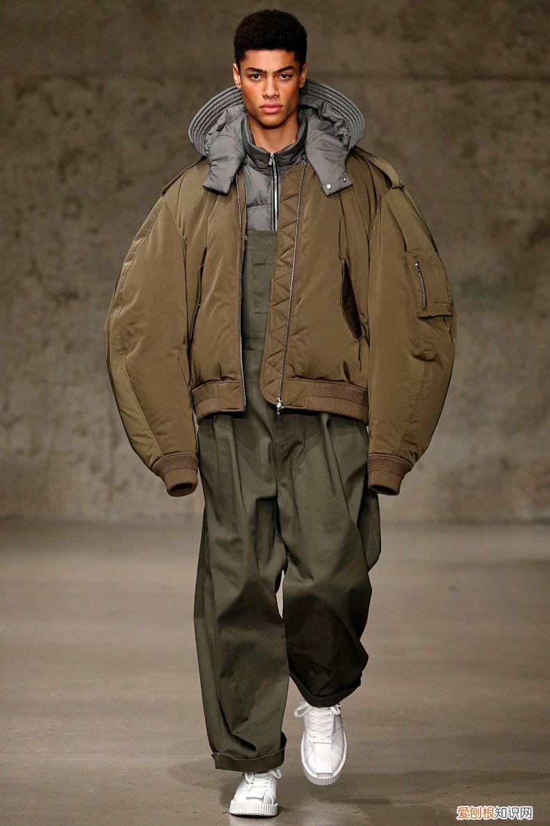 2022年的新小科值得期待吗 小科模特图片