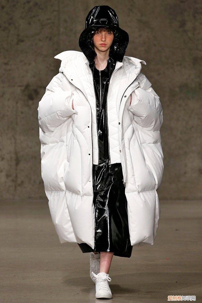 2022年的新小科值得期待吗 小科模特图片