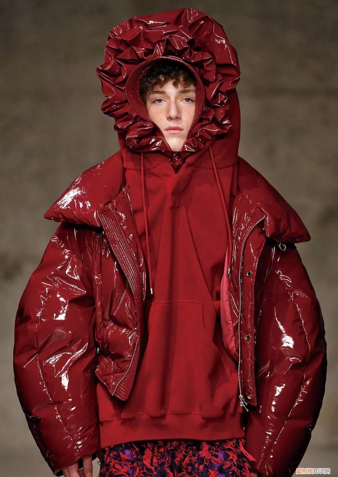 2022年的新小科值得期待吗 小科模特图片